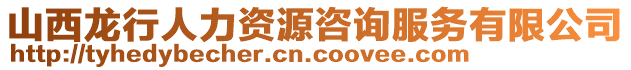 山西龍行人力資源咨詢服務(wù)有限公司