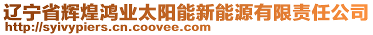 遼寧省輝煌鴻業(yè)太陽(yáng)能新能源有限責(zé)任公司