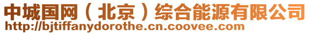 中城國(guó)網(wǎng)（北京）綜合能源有限公司