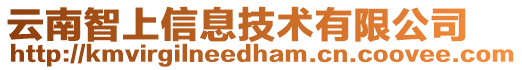 云南智上信息技术有限公司