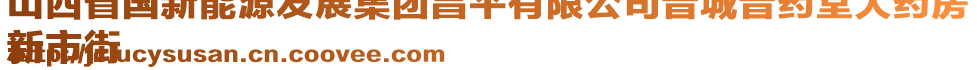山西省國新能源發展集團昌平有限公司晉城晉藥堂大藥房
新市街