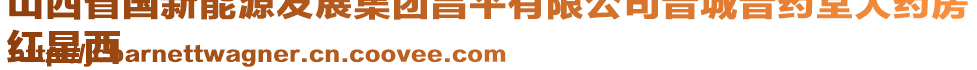 山西省国新能源发展集团昌平有限公司晋城晋药堂大药房
红星西