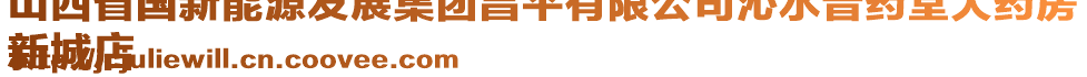 山西省国新能源发展集团昌平有限公司沁水晋药堂大药房
新城店