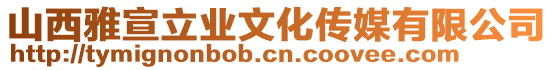 山西雅宣立業(yè)文化傳媒有限公司