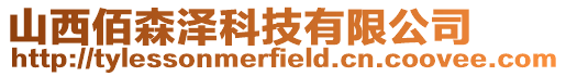 山西佰森澤科技有限公司