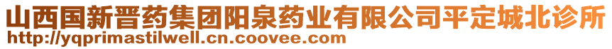 山西國新晉藥集團陽泉藥業(yè)有限公司平定城北診所