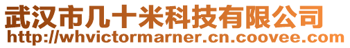 武漢市幾十米科技有限公司