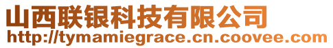 山西聯(lián)銀科技有限公司