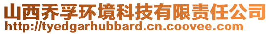 山西乔孚环境科技有限责任公司