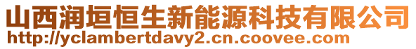 山西润垣恒生新能源科技有限公司