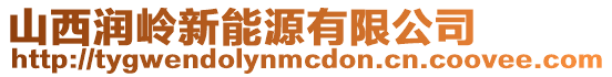 山西潤嶺新能源有限公司