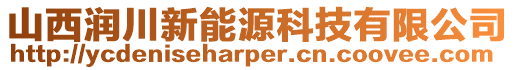 山西潤(rùn)川新能源科技有限公司