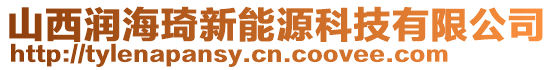 山西潤海琦新能源科技有限公司