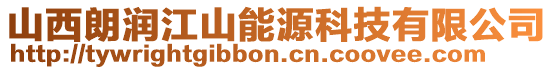 山西朗润江山能源科技有限公司