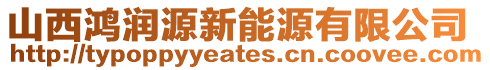 山西鴻潤源新能源有限公司