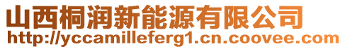 山西桐潤(rùn)新能源有限公司