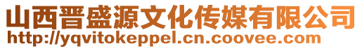 山西晋盛源文化传媒有限公司