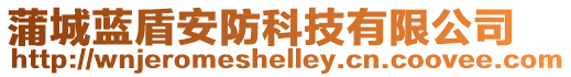 蒲城藍(lán)盾安防科技有限公司