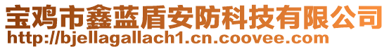 寶雞市鑫藍(lán)盾安防科技有限公司