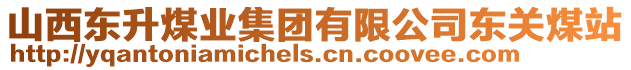 山西東升煤業(yè)集團(tuán)有限公司東關(guān)煤站