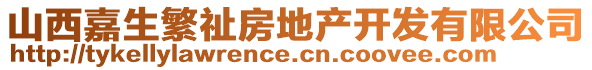 山西嘉生繁祉房地產(chǎn)開發(fā)有限公司