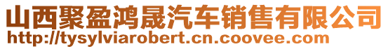 山西聚盈鴻晟汽車銷售有限公司