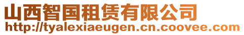 山西智國(guó)租賃有限公司