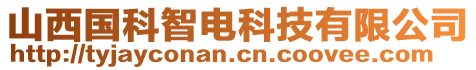 山西國(guó)科智電科技有限公司