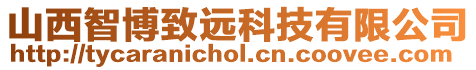 山西智博致遠科技有限公司