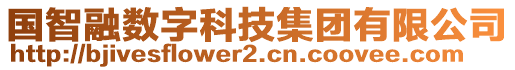 國(guó)智融數(shù)字科技集團(tuán)有限公司