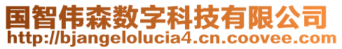 國智偉森數(shù)字科技有限公司