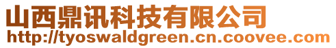 山西鼎訊科技有限公司