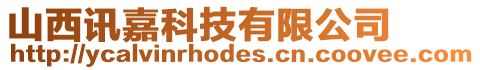 山西訊嘉科技有限公司