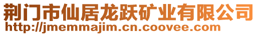 荊門市仙居龍躍礦業(yè)有限公司