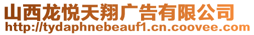 山西龍悅天翔廣告有限公司