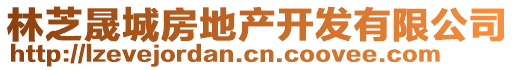 林芝晟城房地產(chǎn)開發(fā)有限公司