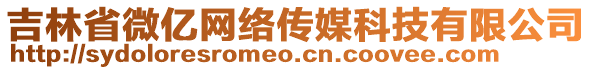 吉林省微億網(wǎng)絡(luò)傳媒科技有限公司