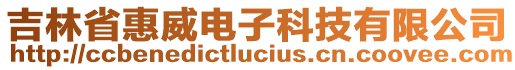 吉林省惠威電子科技有限公司