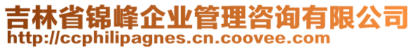 吉林省錦峰企業(yè)管理咨詢有限公司