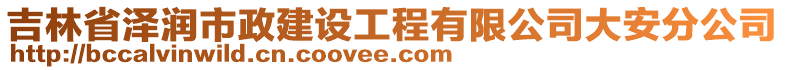 吉林省澤潤市政建設工程有限公司大安分公司