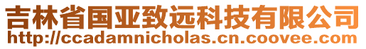 吉林省國亞致遠科技有限公司