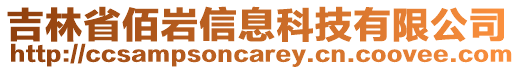 吉林省佰巖信息科技有限公司