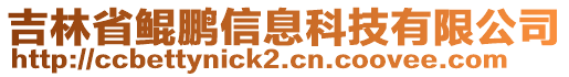 吉林省鯤鵬信息科技有限公司
