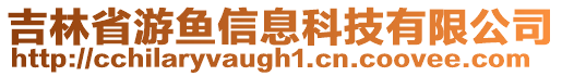 吉林省游魚(yú)信息科技有限公司