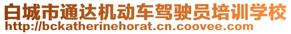 白城市通達機動車駕駛員培訓學校