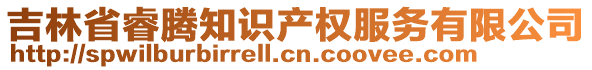 吉林省睿騰知識產(chǎn)權(quán)服務有限公司