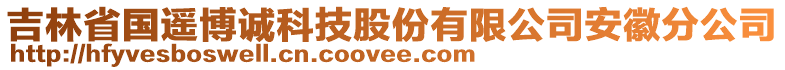 吉林省國遙博誠科技股份有限公司安徽分公司