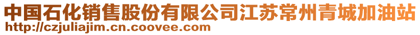 中國石化銷售股份有限公司江蘇常州青城加油站