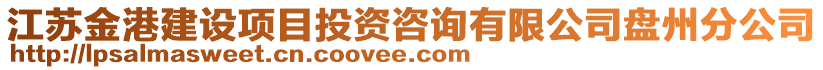 江蘇金港建設項目投資咨詢有限公司盤州分公司