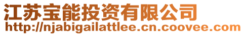 江蘇寶能投資有限公司